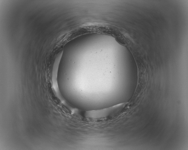 X0000080730965200701021116