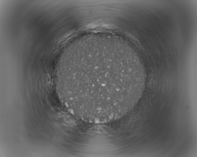 X0000080730966200701021116