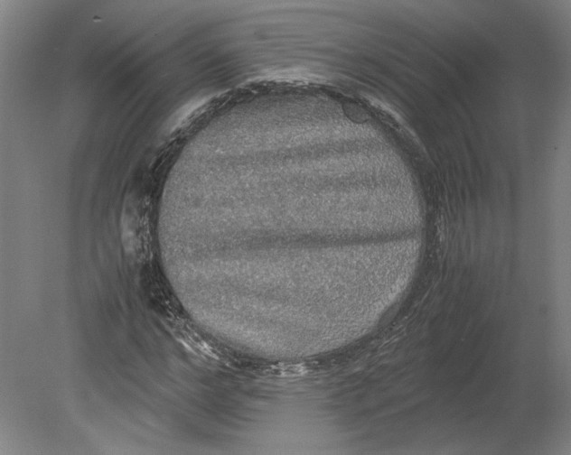 X0000080730968200701021116