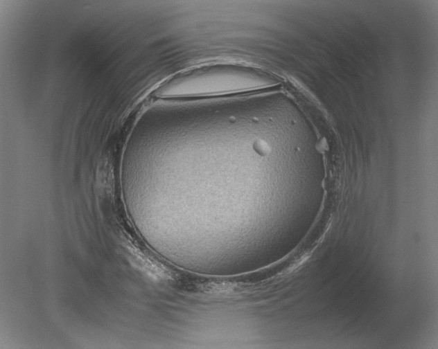 X0000080730969200701021116