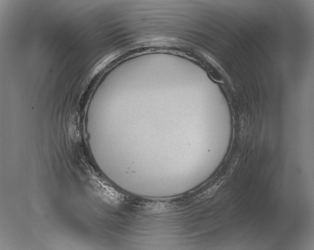 X0000080730970200701021116