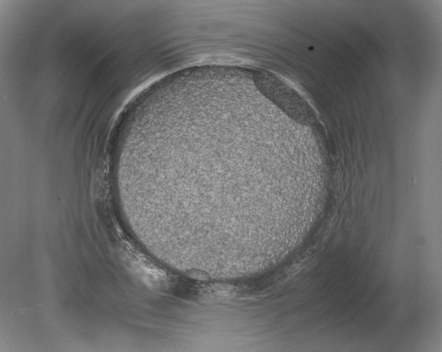 X0000080730971200701021116