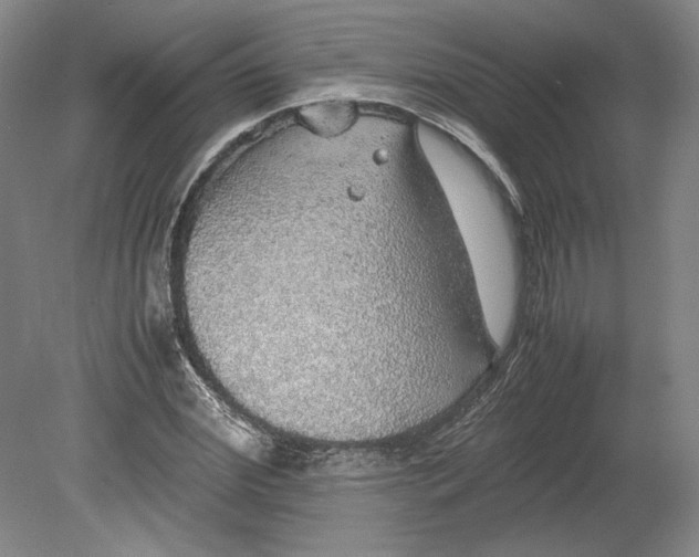 X0000080730972200701021116