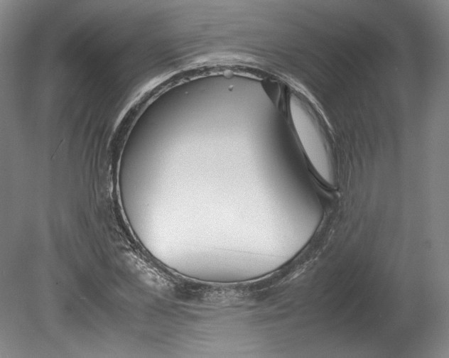 X0000080730973200701021116