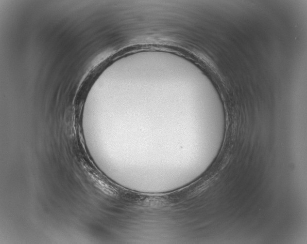 X0000080730974200701021116