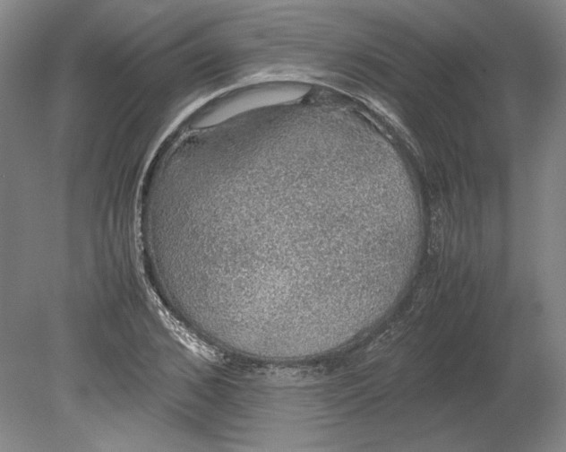 X0000080730976200701021116