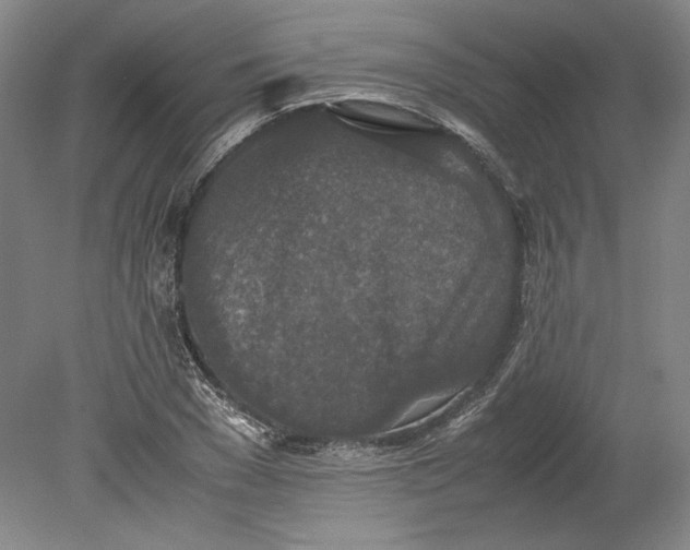 X0000080730977200701021115