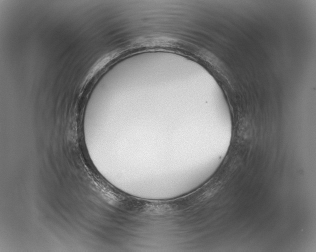 X0000080730978200701021115