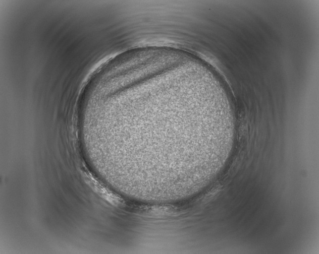 X0000080730979200701021115