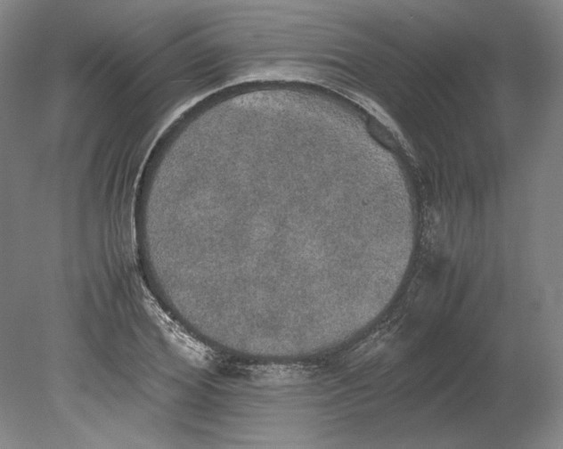 X0000080730980200701021115