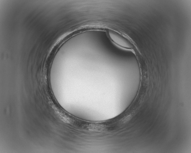 X0000080730981200701021115