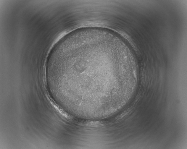 X0000080730982200701021115