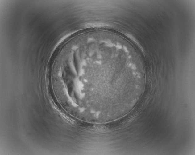 X0000080730983200701021115