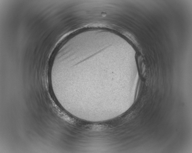 X0000080730984200701021115