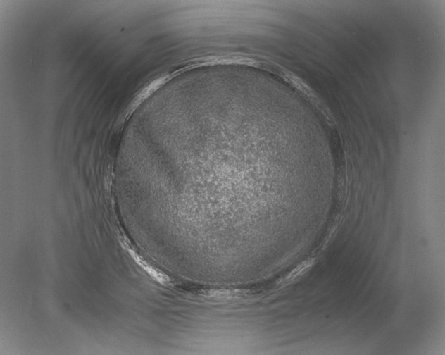 X0000080730985200701021115