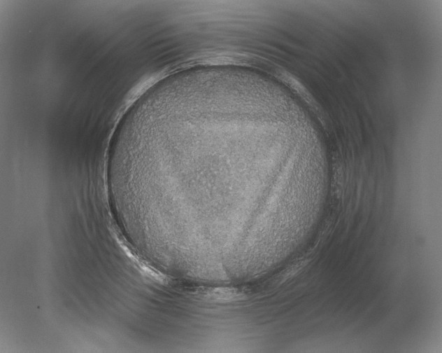 X0000080730986200701021115