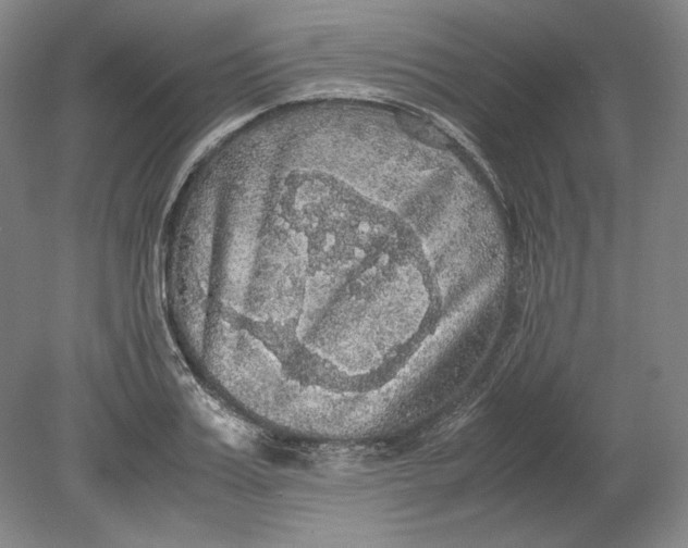 X0000080730987200701021115