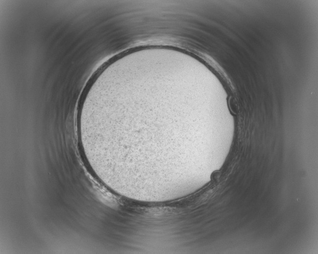 X0000080730988200701021115