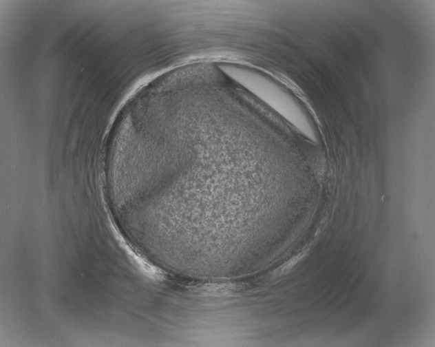 X0000080730989200701021115