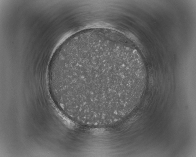 X0000080730990200701021115