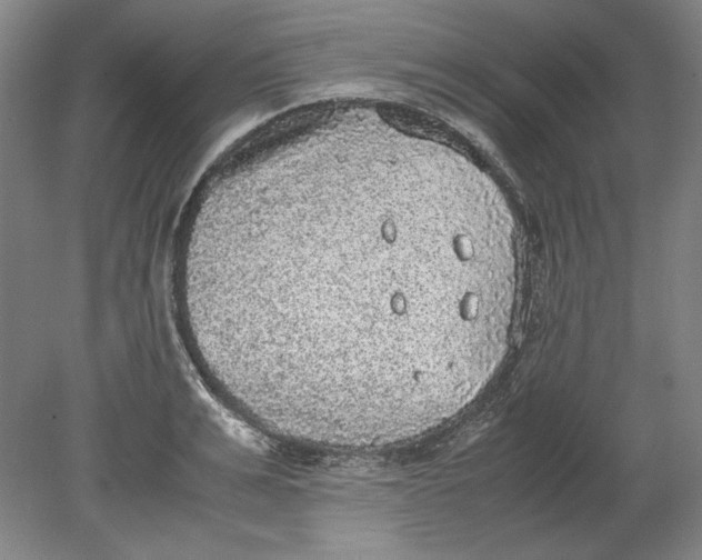 X0000080730991200701021115