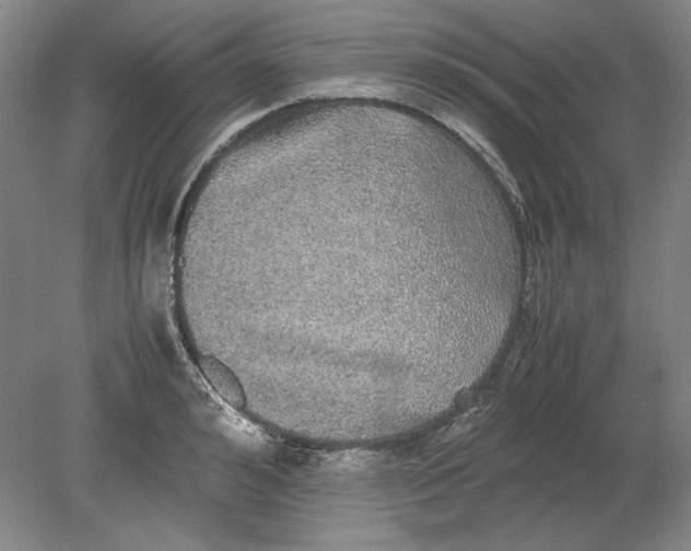 X0000080730992200701021115