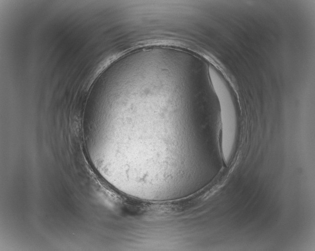 X0000080730993200701021115