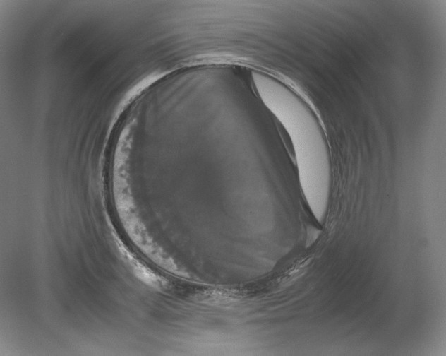 X0000080730995200701021115