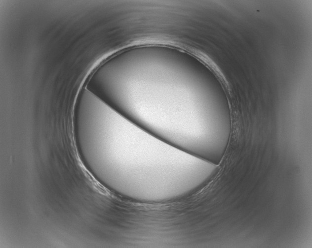 X0000080730996200701021115