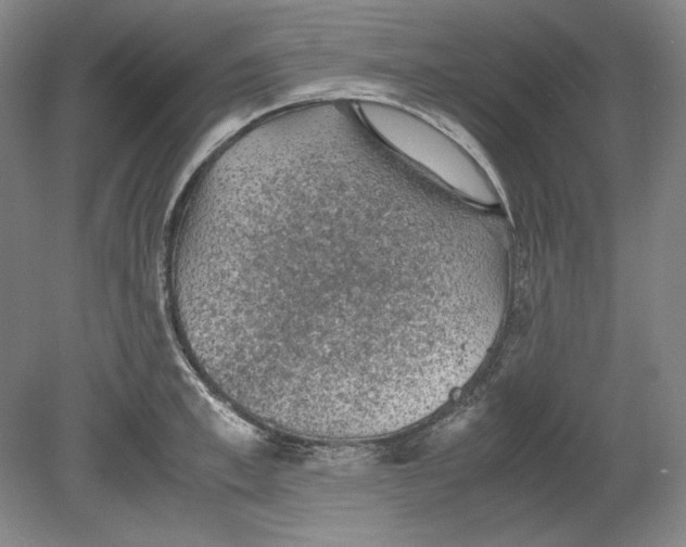 X0000080730997200701021115