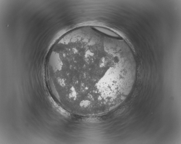 X0000080730998200701021115