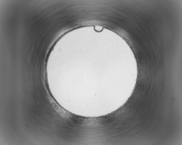 X0000080731000200701021115