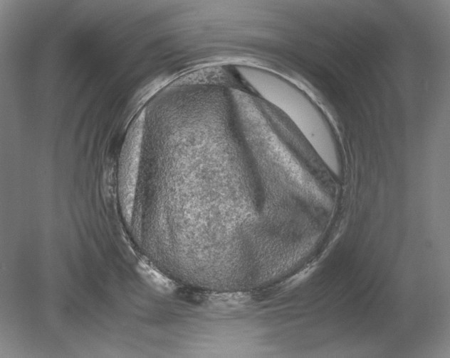 X0000080731001200701021115