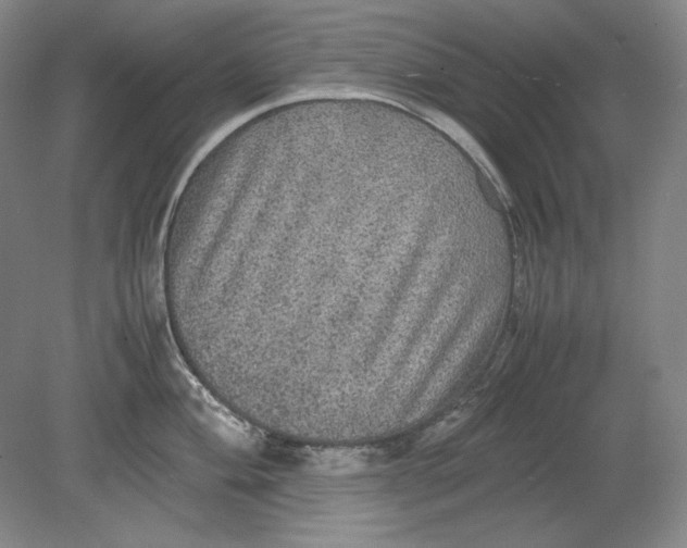 X0000080731004200701021115