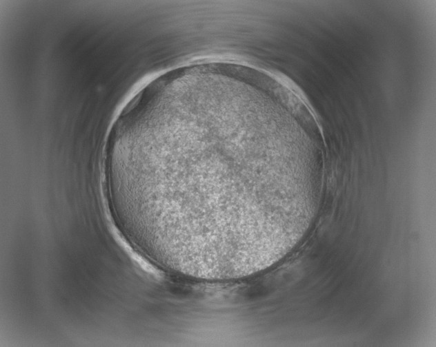 X0000080731005200701021115