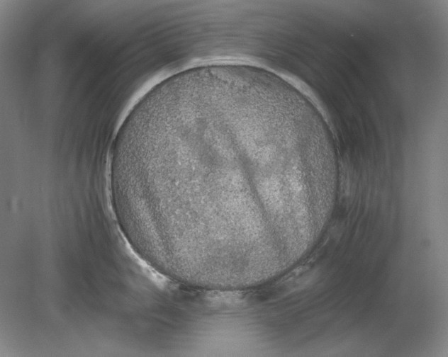 X0000080731006200701021115