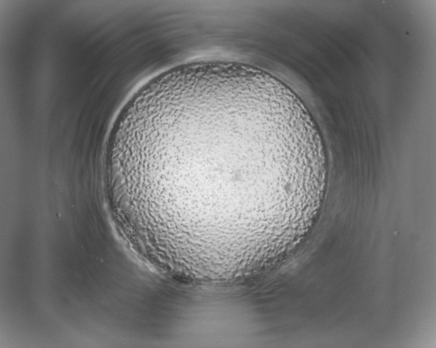 X0000080731008200701021115