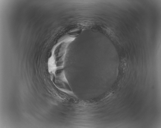 X0000080731009200701021114