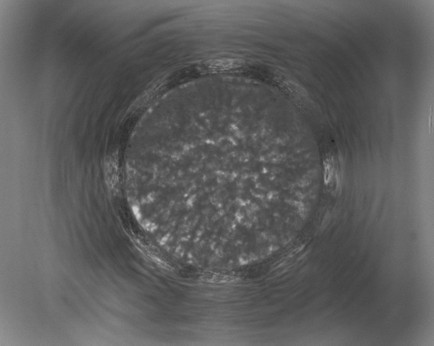 X0000080731011200701021114