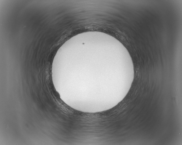 X0000080731012200701021114