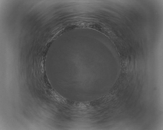 X0000080731013200701021114