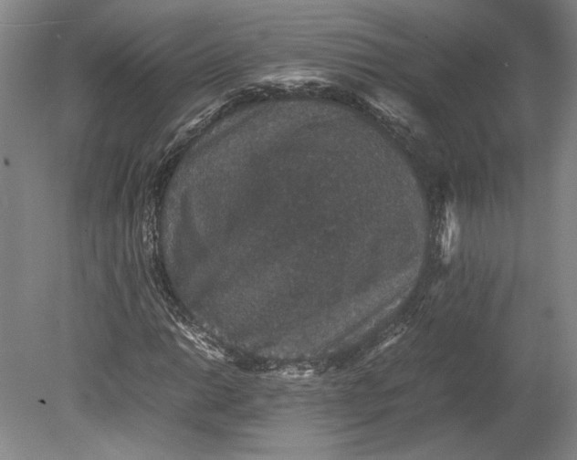 X0000080731014200701021114