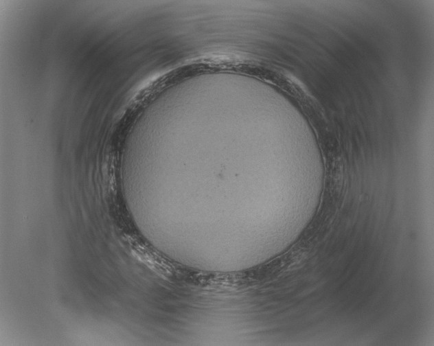 X0000080731016200701021114