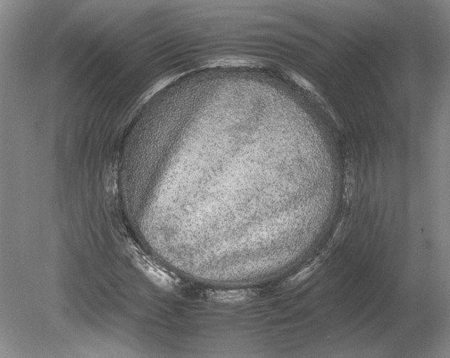 X0000080731017200701021114