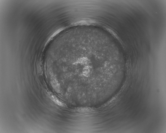 X0000080731018200701021114