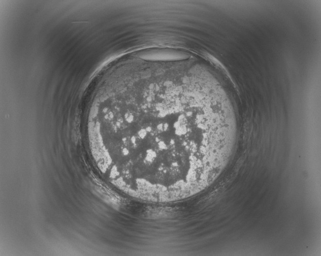 X0000080731019200701021114