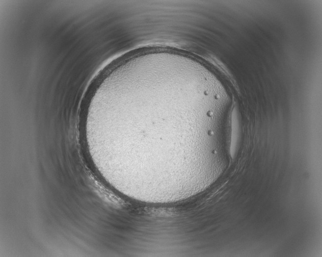 X0000080731020200701021114