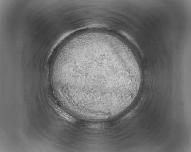 X0000080731021200701021114