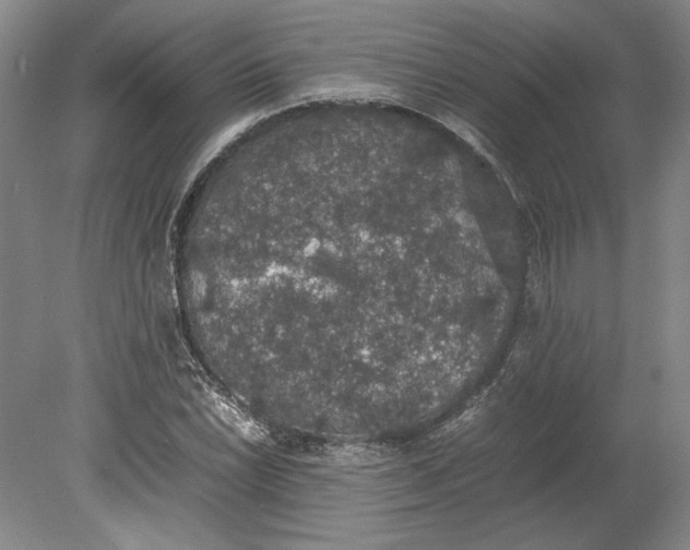 X0000080731022200701021114