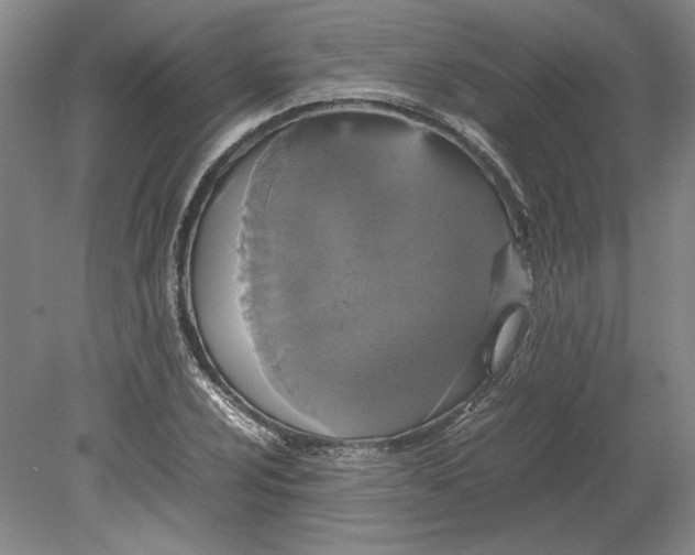 X0000080731024200701021114